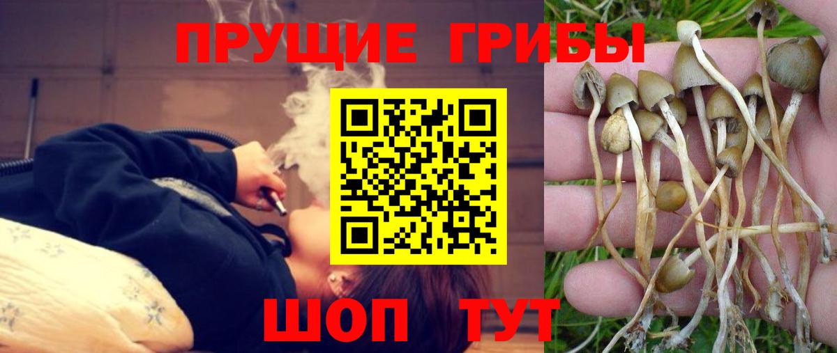 Галлюциногенные грибы Magic Shrooms Арзамас